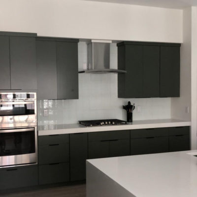 Dark Modern Kitchen 4