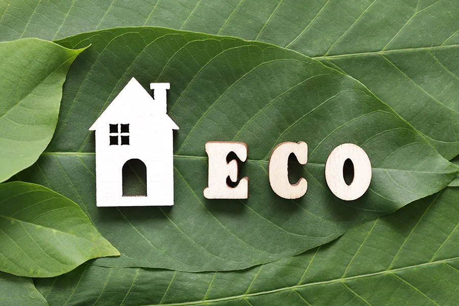 Eco-Friendly Upgrades for Your Home